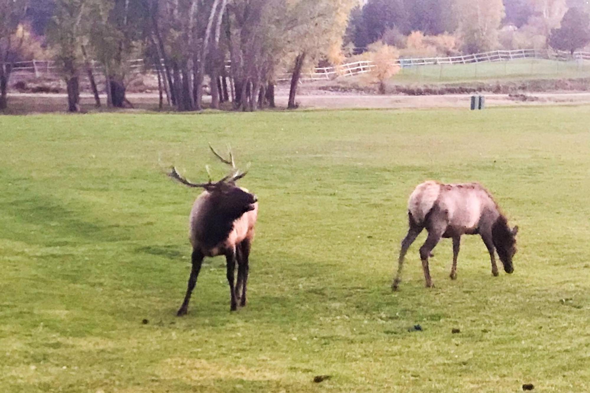 Fairways & 14Ers Vila Estes Park Exterior foto
