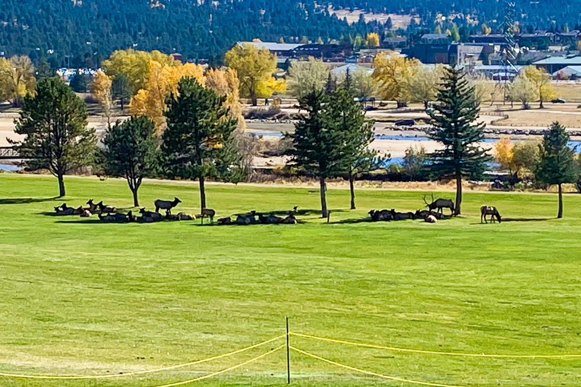 Fairways & 14Ers Vila Estes Park Exterior foto