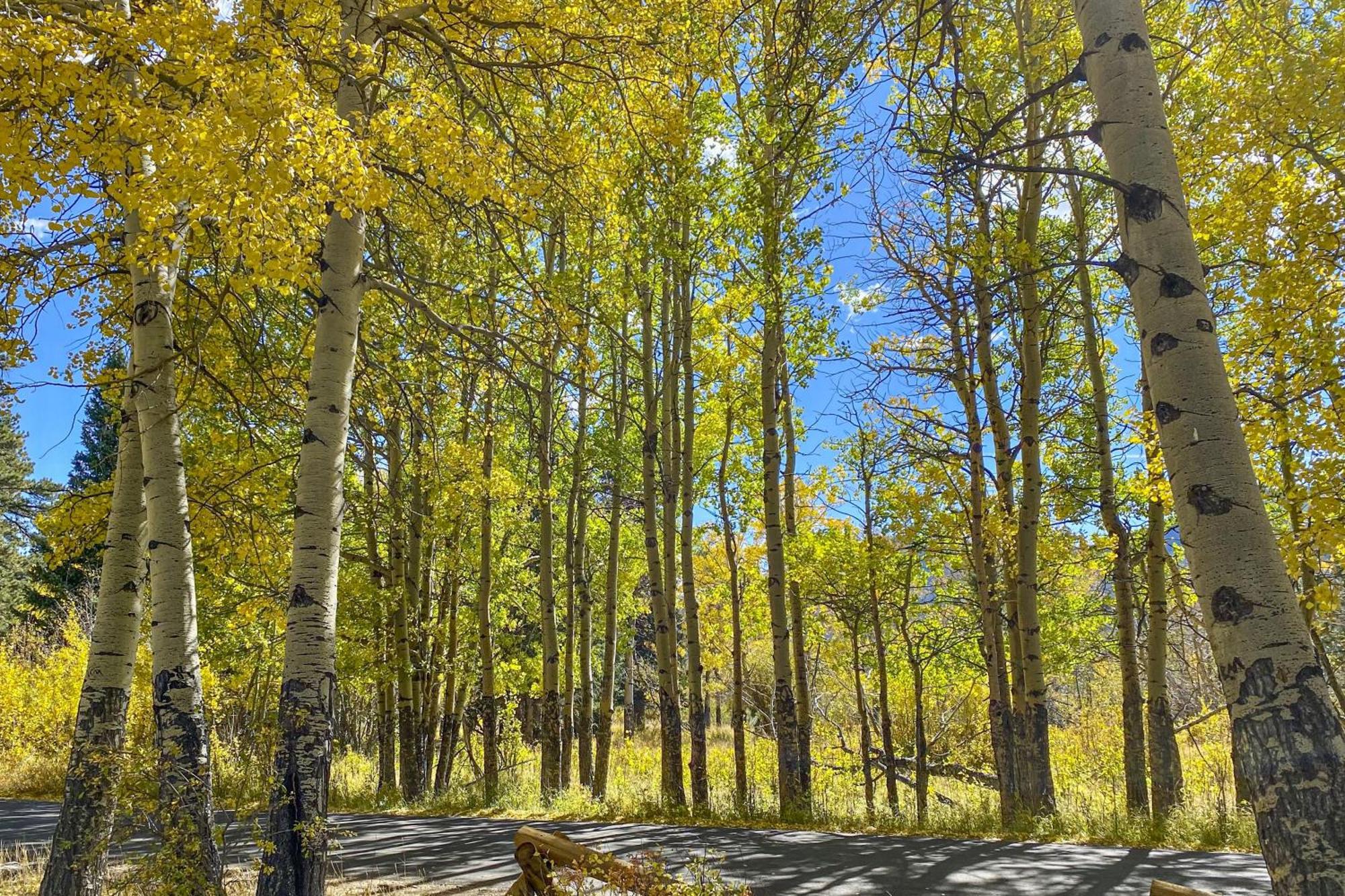 Fairways & 14Ers Vila Estes Park Exterior foto